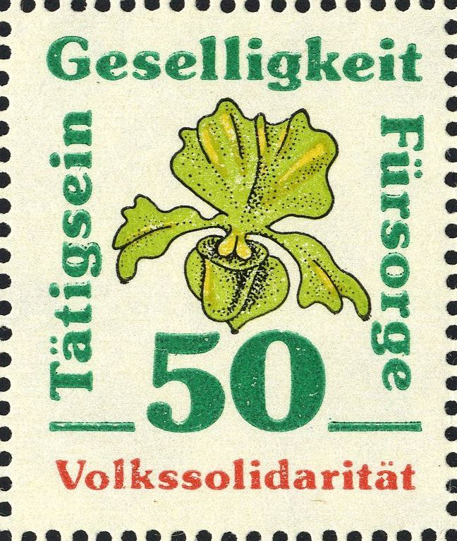 Image:ddr_vszsm19881.1.f11.big.jpg