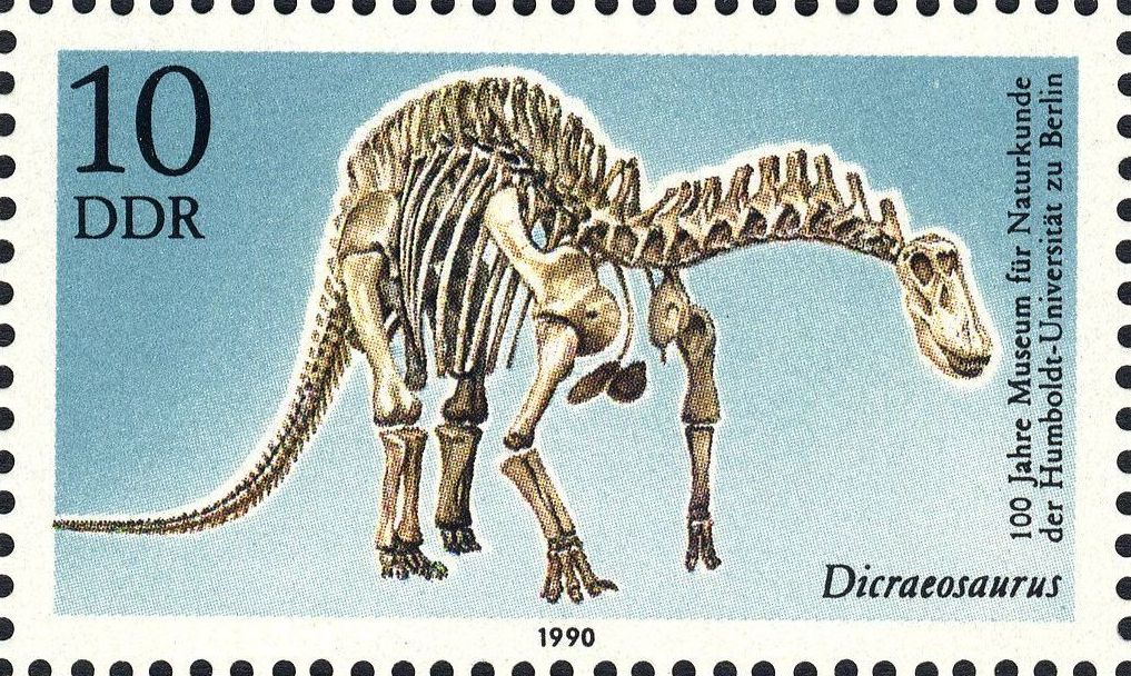 Image:ddr3324.1.big.jpg
