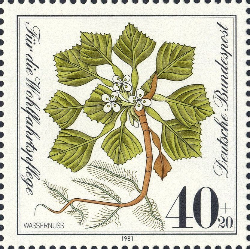 Image:bnd1108.2.big.jpg