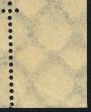 Image:dr0249.2.small_zvf50.jpg