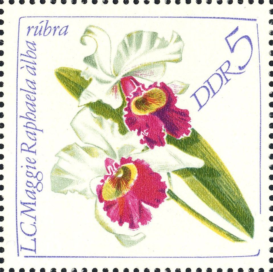Image:ddr1420.2.big.jpg