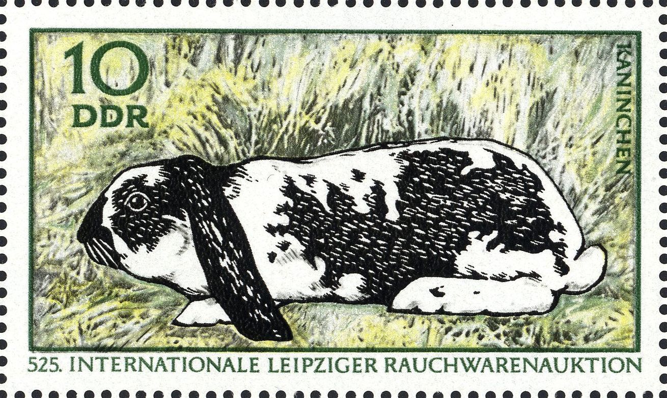 Image:ddr1541.2.big.jpg