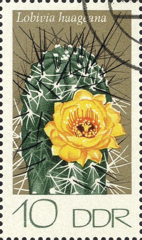 Image:ddr1923.1.big.jpg