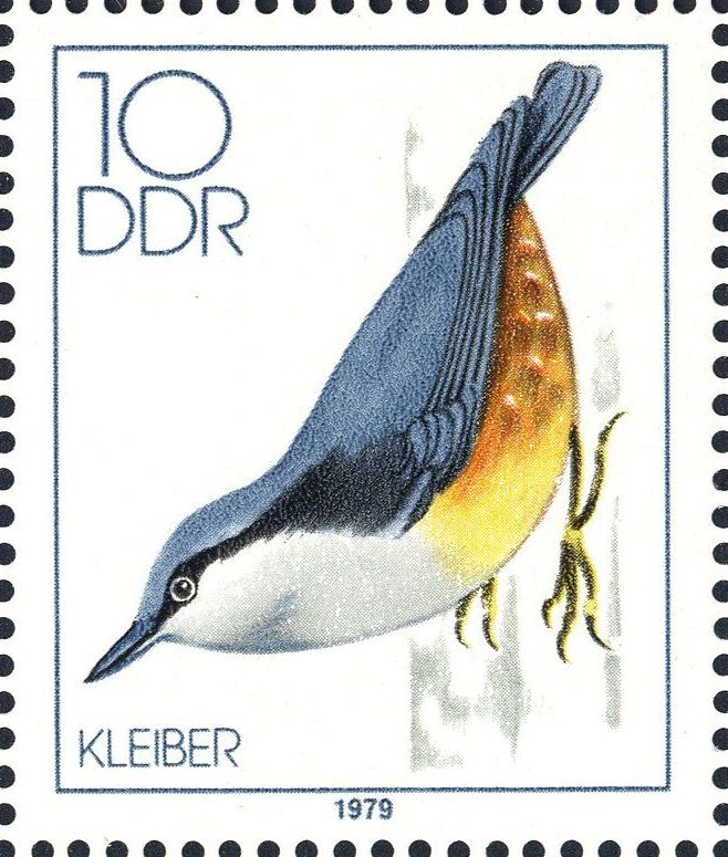 Image:ddr2389.1.big.jpg