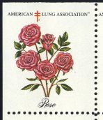 Image:vgn_usa_ss1990d.1.small_zvf1.jpg