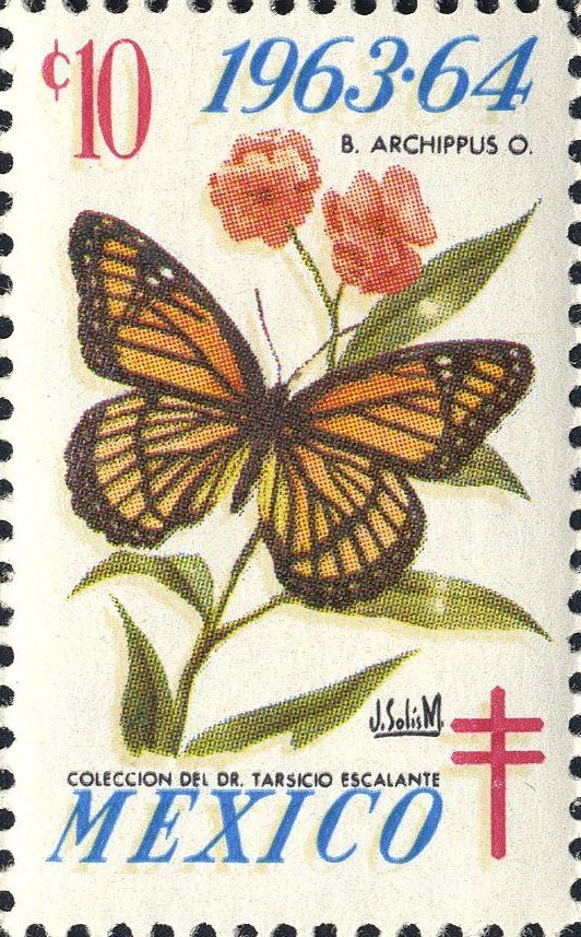 Image:vgn_mex_wsm1963.1.f50.big.jpg