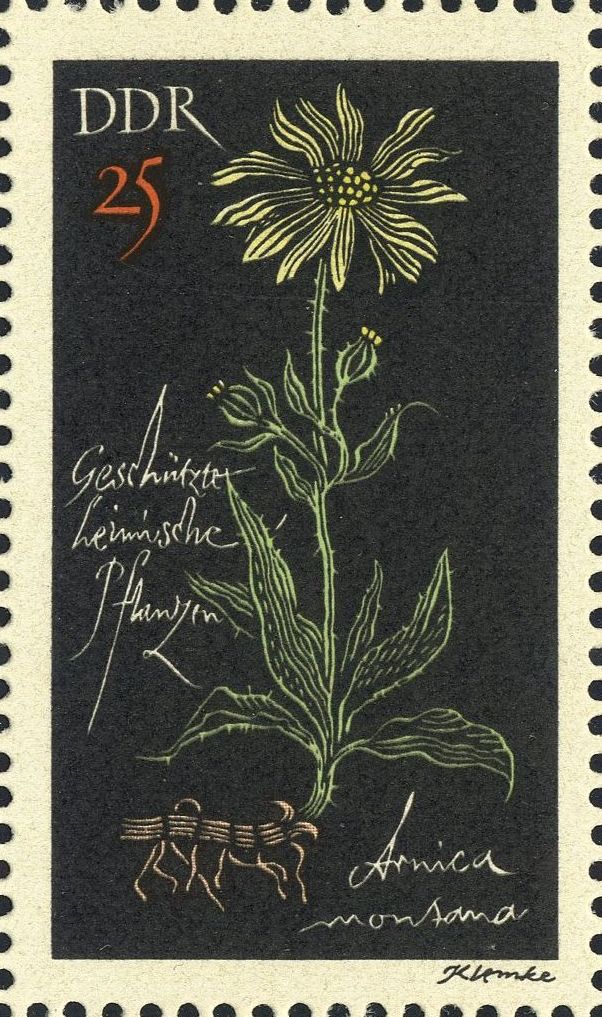 Image:ddr1244.1.big.jpg