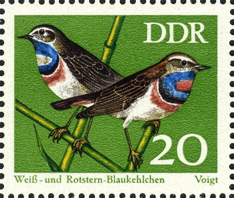 Image:ddr1837.1.big.jpg