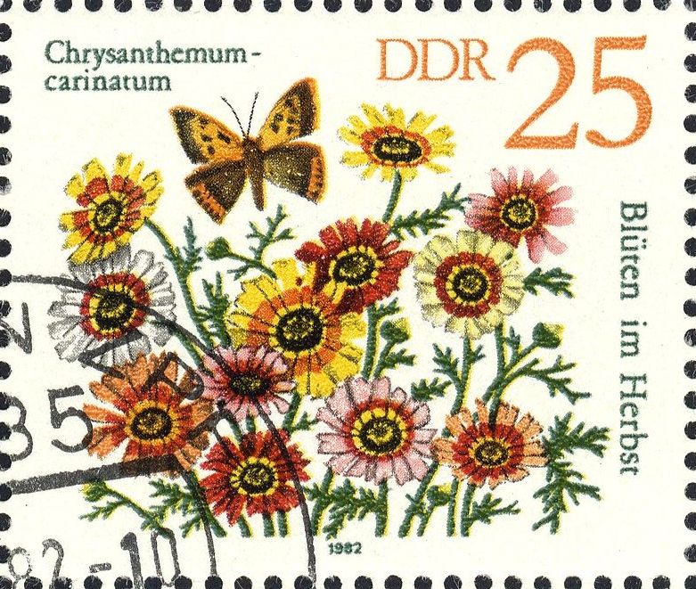 Image:ddr2741.1.big.jpg