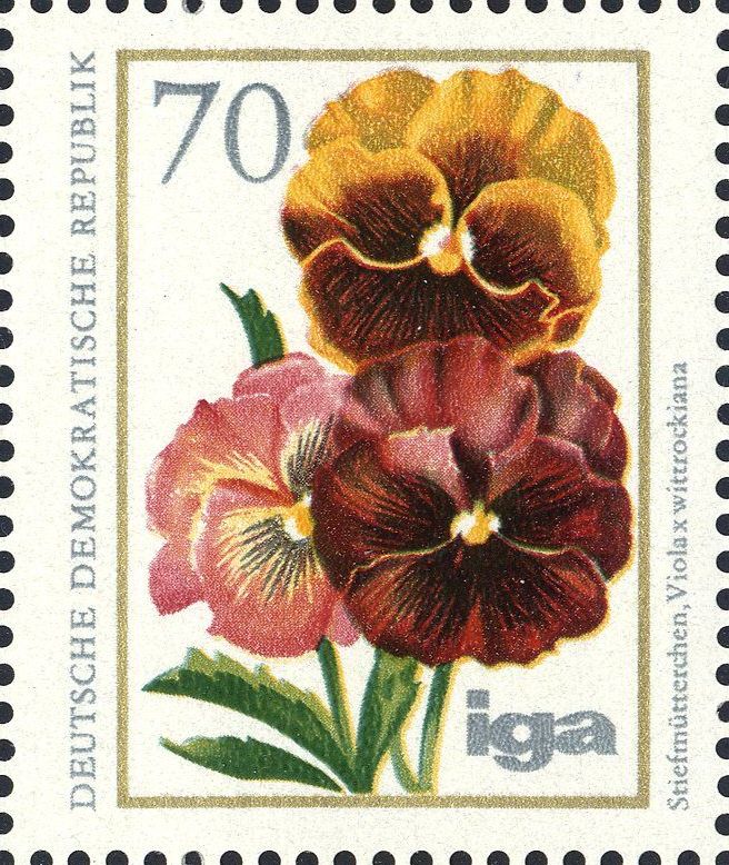 Image:ddr2075.1.big.jpg