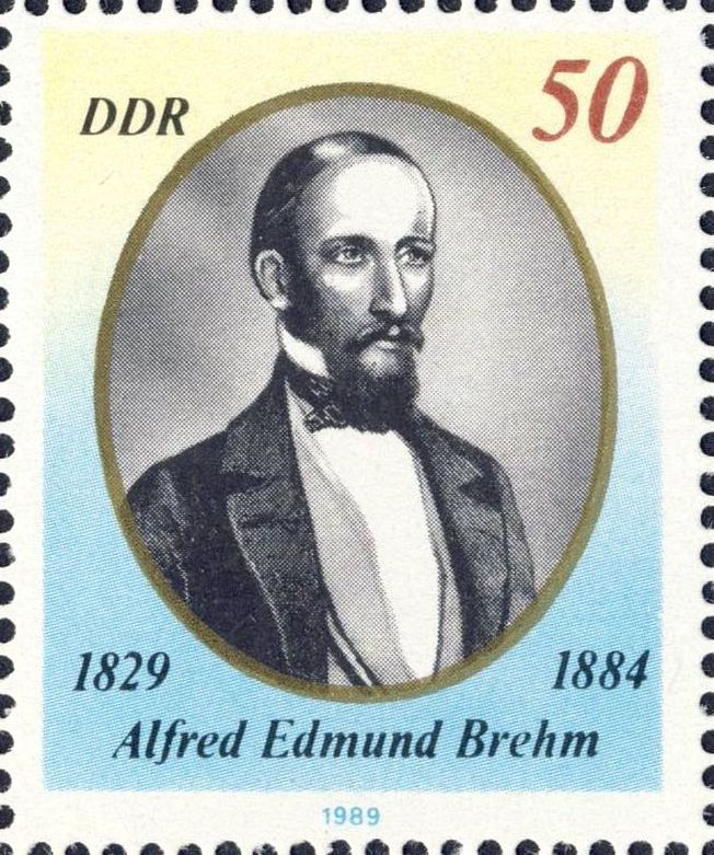 Image:ddr3256.1mh.big.jpg