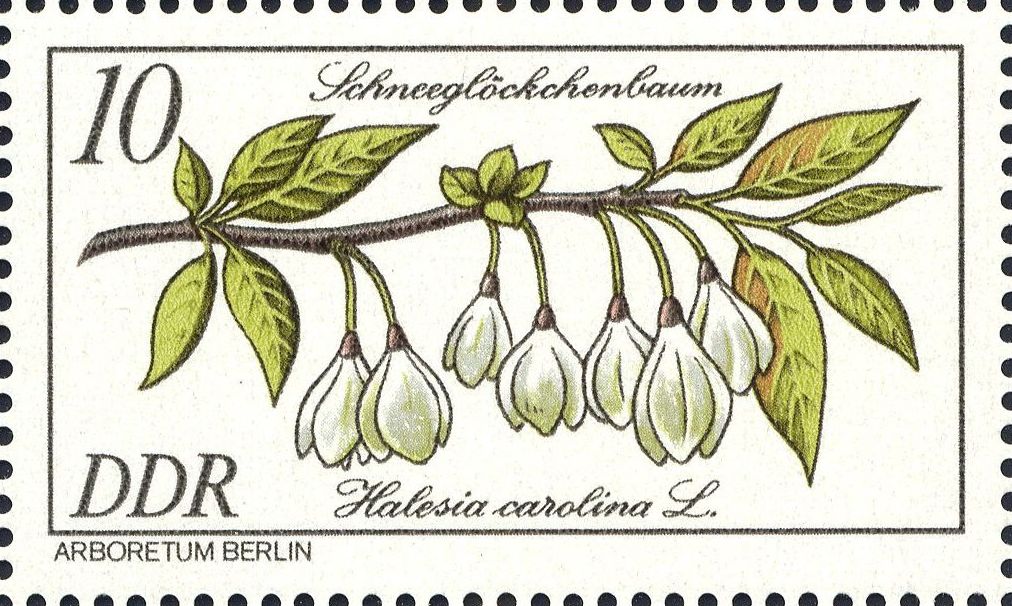 Image:ddr2574.2.big.jpg