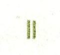 Image:ddr2529.2.small_fnIIfU3aa.jpg