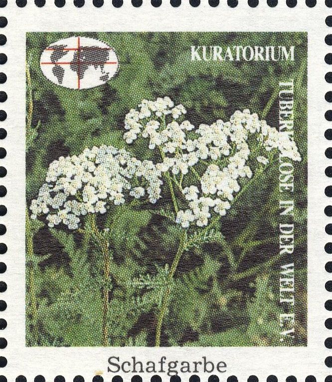 Image:vgn_bnd_wsm1991.1.0244.big.jpg
