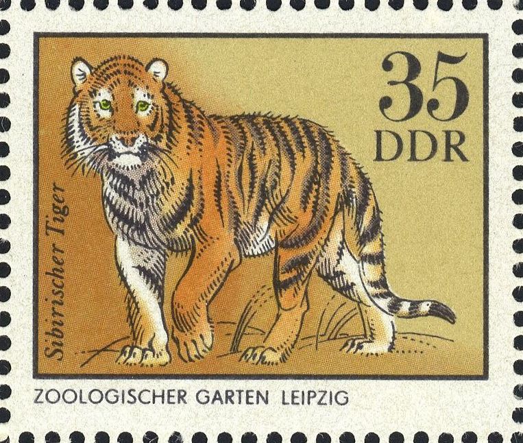 Image:ddr2036.1.big.jpg