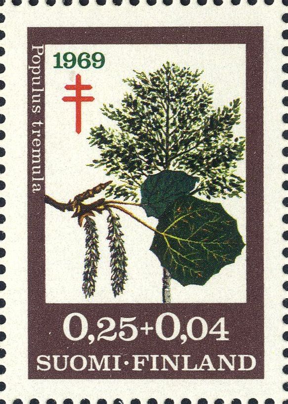 Image:fin0658.1.big.jpg