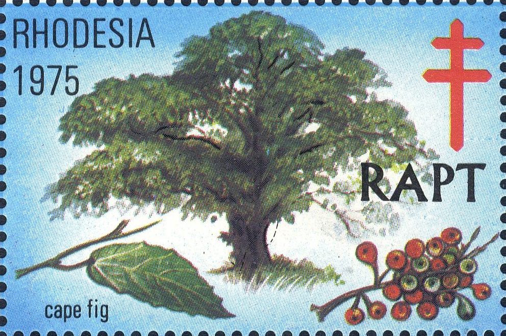 Image:vgn_rhzw_wsm1975.2.big.jpg