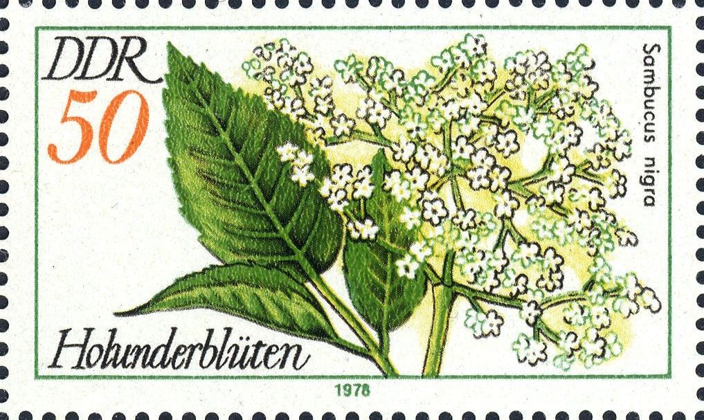 Image:ddr2292.1.big.jpg