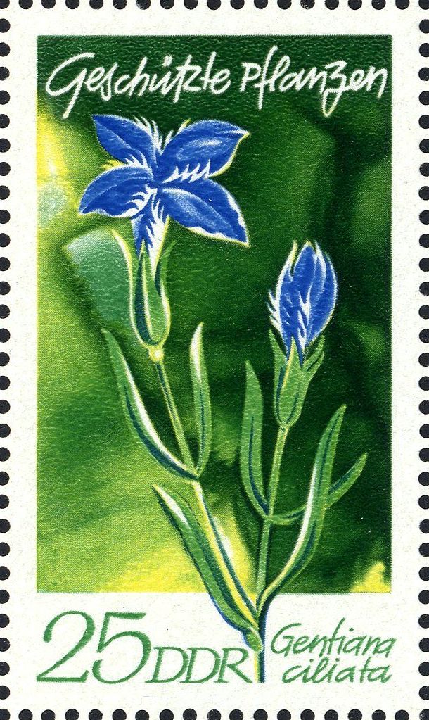 Image:ddr1565.1.big.jpg