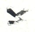 Image:ddr2507.1.small_dz.jpg