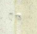 Datei:Bnd0226xw.6.small zpf30b.jpg