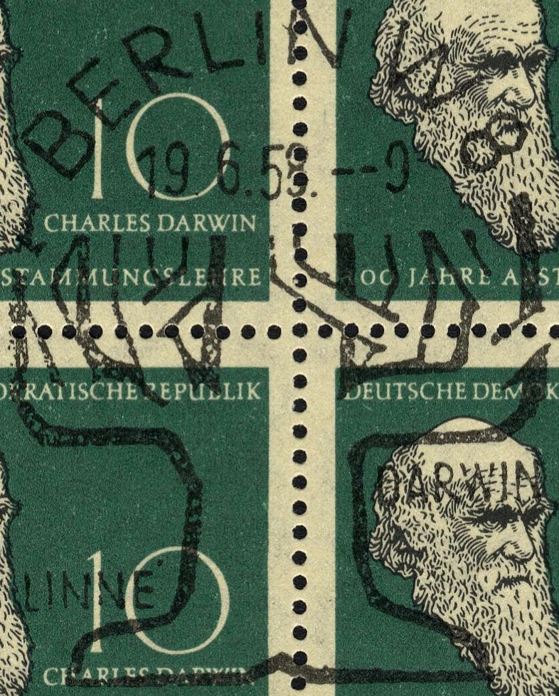 Image:ddr0631.1.big_st.jpg