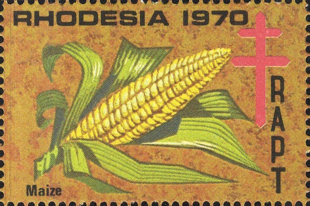 Image:vgn_rhzw_wsm1970.1.big.jpg