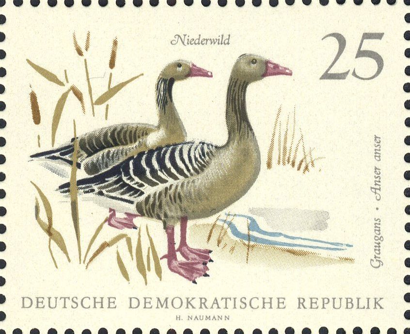 Image:ddr1360.1.big.jpg