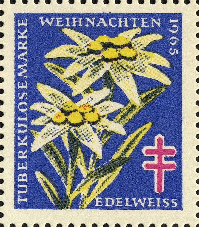 Image:vgn_bnd_wsm1965.1.0049.big.jpg