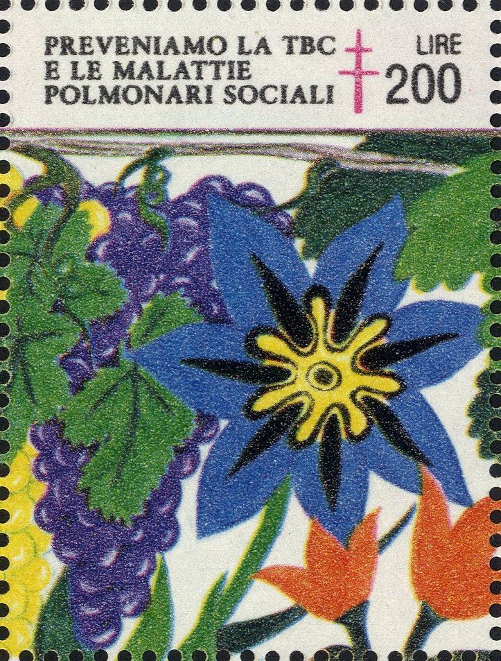Image:vgn_ita_wsm1986.1.f3.big.jpg