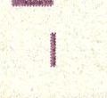 Image:ddr2095.3.small_fnIfU2ma.jpg