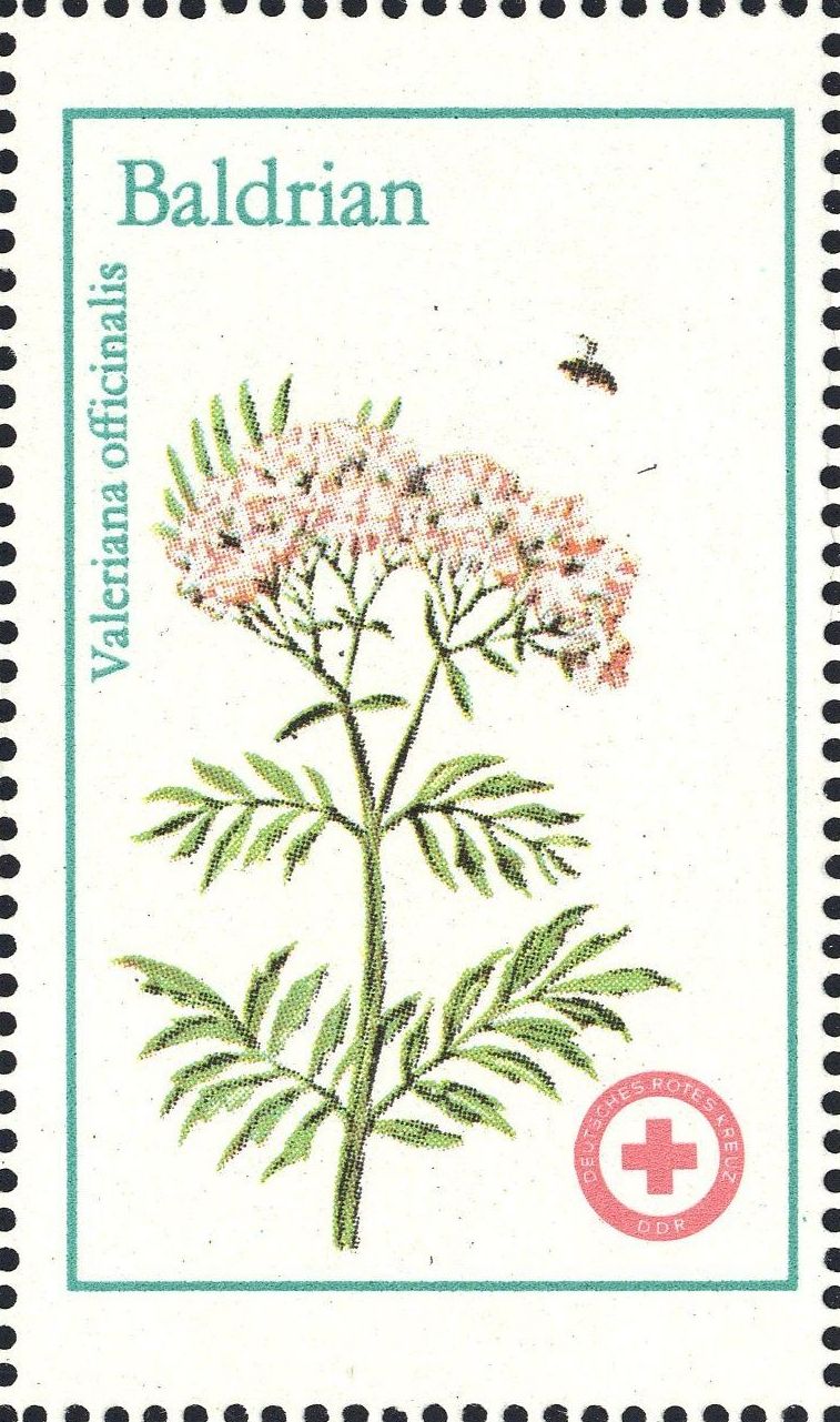 Image:ddr_drksms0006.2.f3.big.jpg