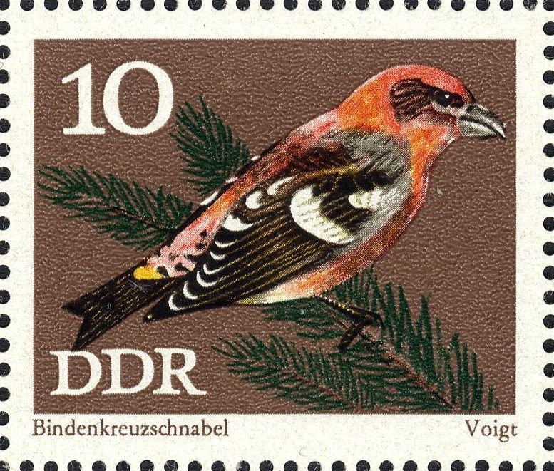 Image:ddr1835.1.big.jpg