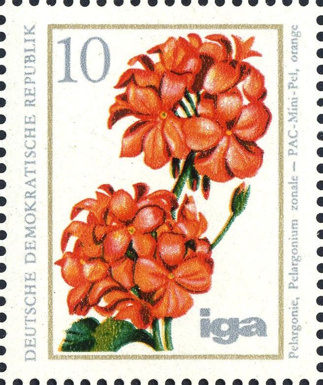 Image:ddr2071.1.big.jpg