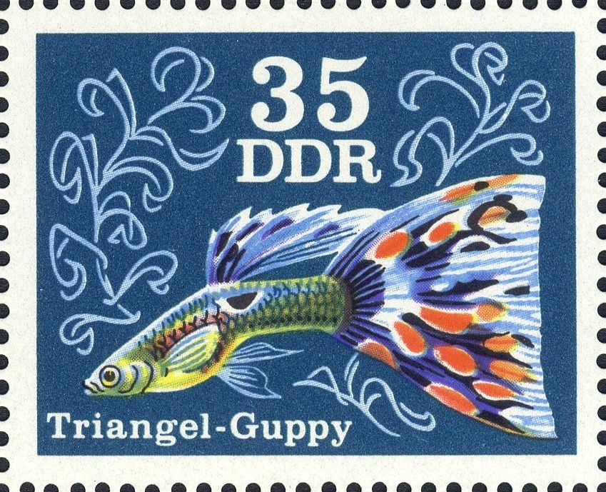 Image:ddr2180.2.big.jpg