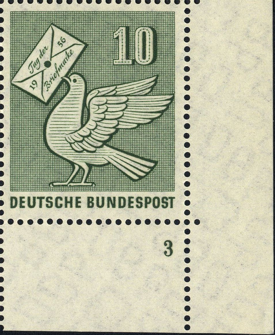 Image:bnd0247.3.big_fn3f50.jpg