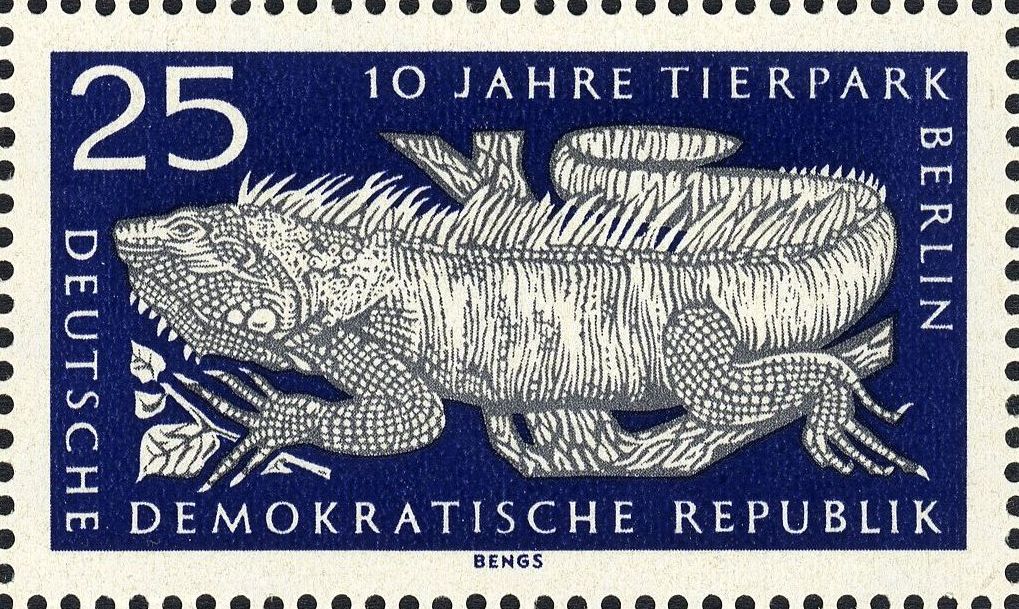 Image:ddr1094.1.big.jpg