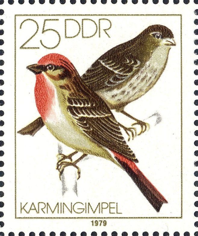Image:ddr2391.1.big.jpg