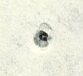 Image:bnd0182xWw.12.small_zpf40a.jpg