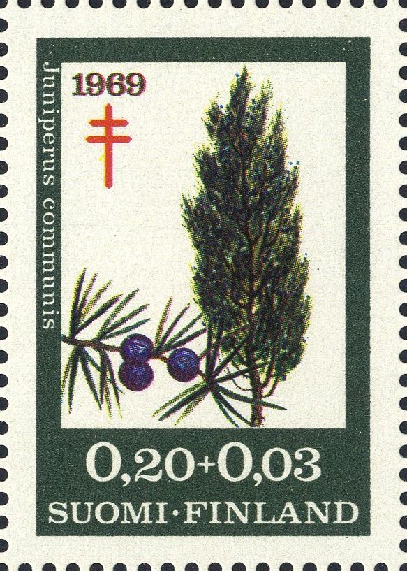 Image:fin0657.1.big.jpg