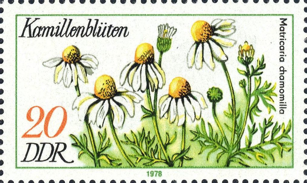 Image:ddr2289.1.big.jpg