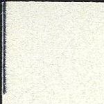 Image:bnd0939.1.small_snwf1a.jpg