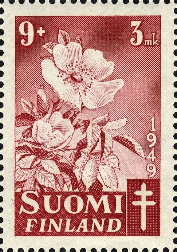 Image:fin0366.1.big.jpg