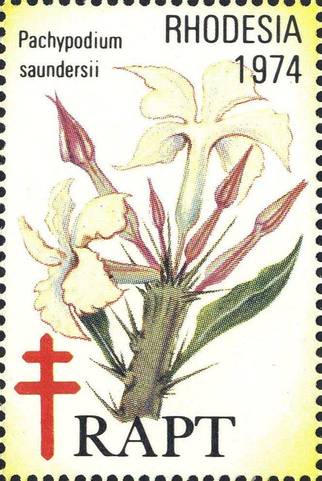Image:vgn_rhzw_wsm1974.1.f3.big.jpg