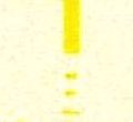 Image:ddr2587.1js.small_rzf21b.jpg