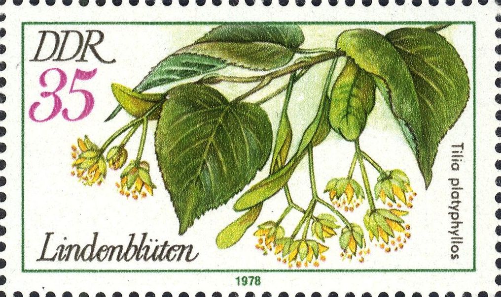 Image:ddr2291.1.big.jpg