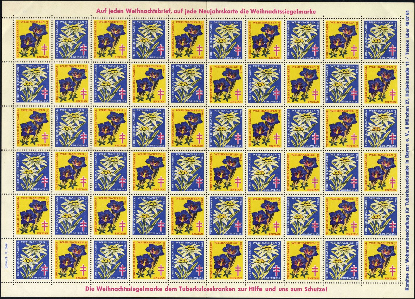Image:vgn_bnd_wsm1965.1.small_bg1.jpg