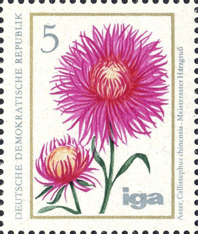 Image:ddr2070.1.big.jpg