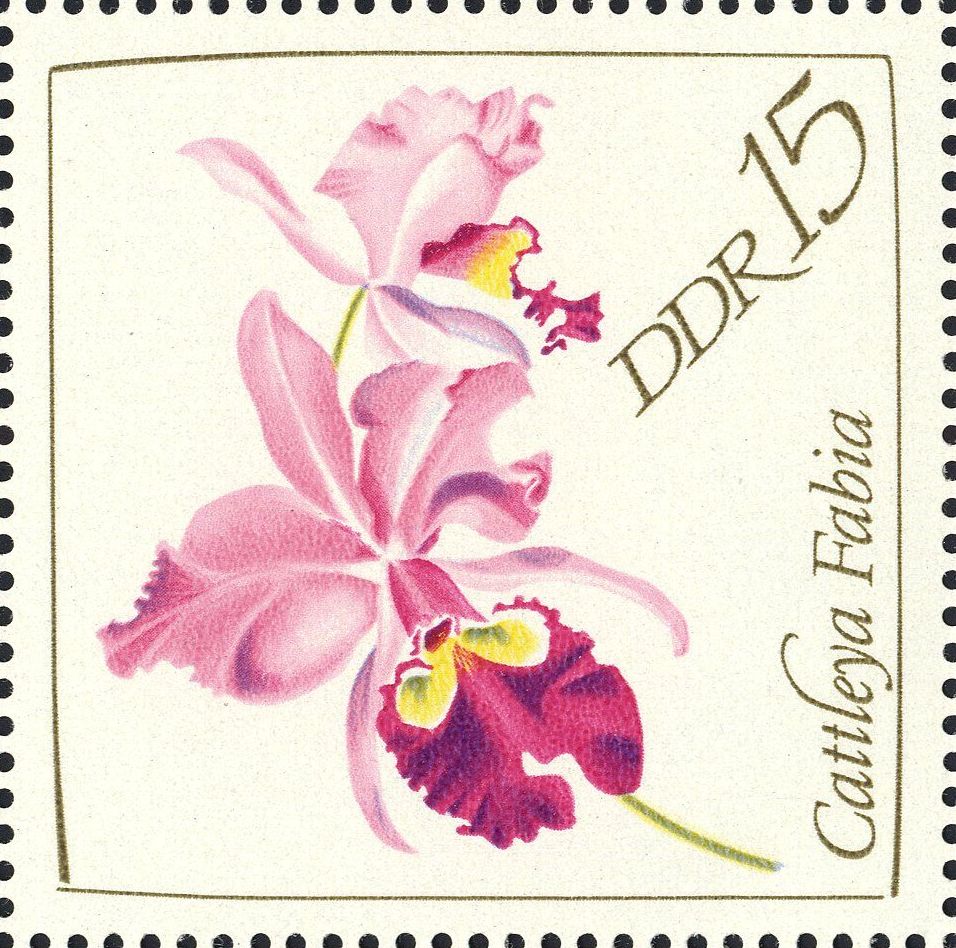 Image:ddr1422.2.big.jpg