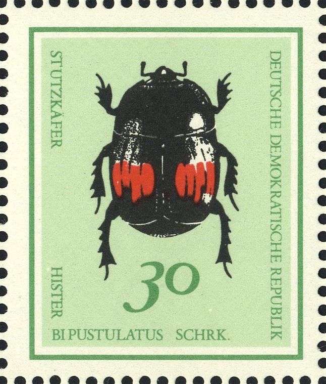 Image:ddr1415.1.big.jpg